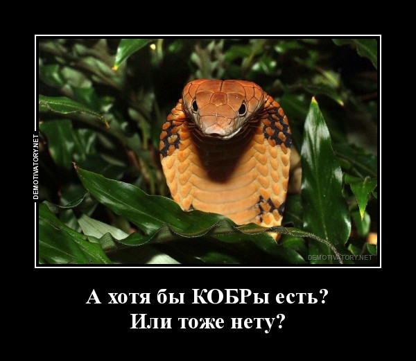 КОБРы