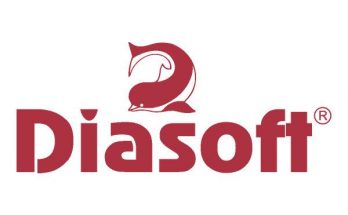 Диасофт: проблемы нарастают Диасофт: проблемы нарастают