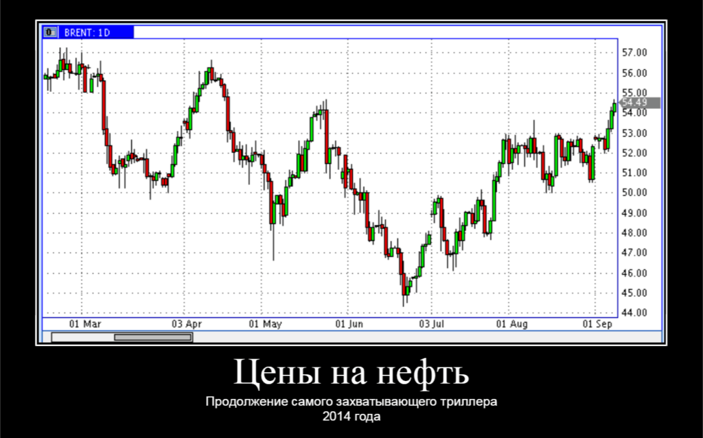 Все инвесторы делают ЭТО...