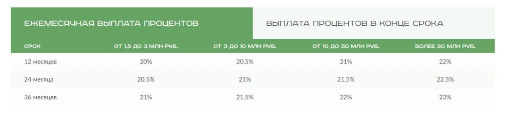 Инвестиции в Выручай-Деньги